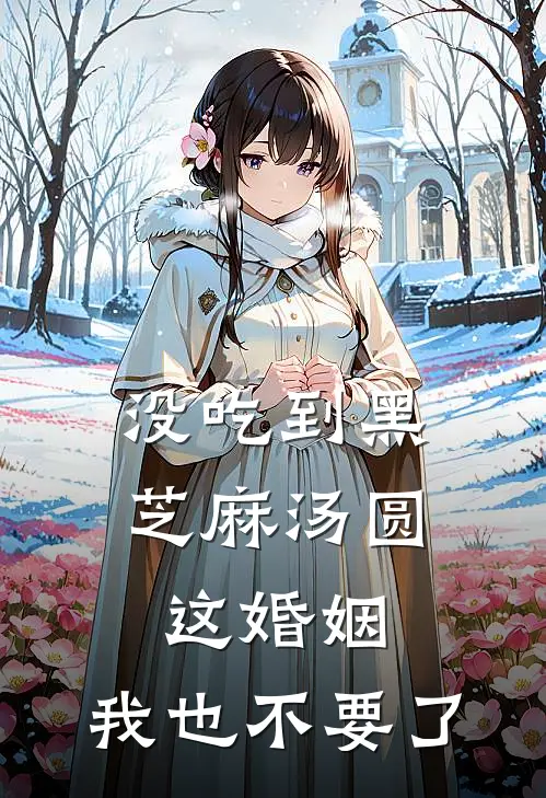 没吃到黑芝麻汤圆，这婚姻，我也不要了(楚海宁楚辰)热门网络小说推荐_最新章节列表没吃到黑芝麻汤圆，这婚姻，我也不要了(楚海宁楚辰)