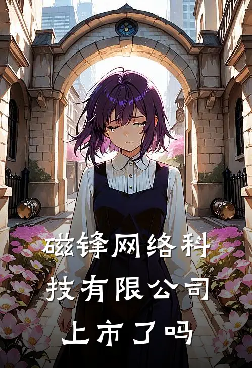 磁锋网络科技有限公司上市了吗